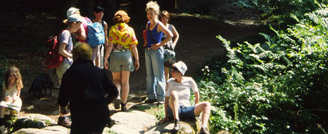 Zangworkshop tijdens de creatieve vakanties tekenen, schilderen, beeldhouwen, zingen, theater bij Bleu et Vert in Le Phaux, Auvergne, Frankrijk