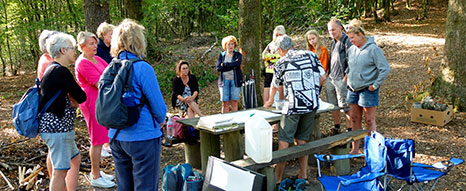 Docent tekenen, schilderen bij Bleu et Vert in de Ardennen, Frankrijk